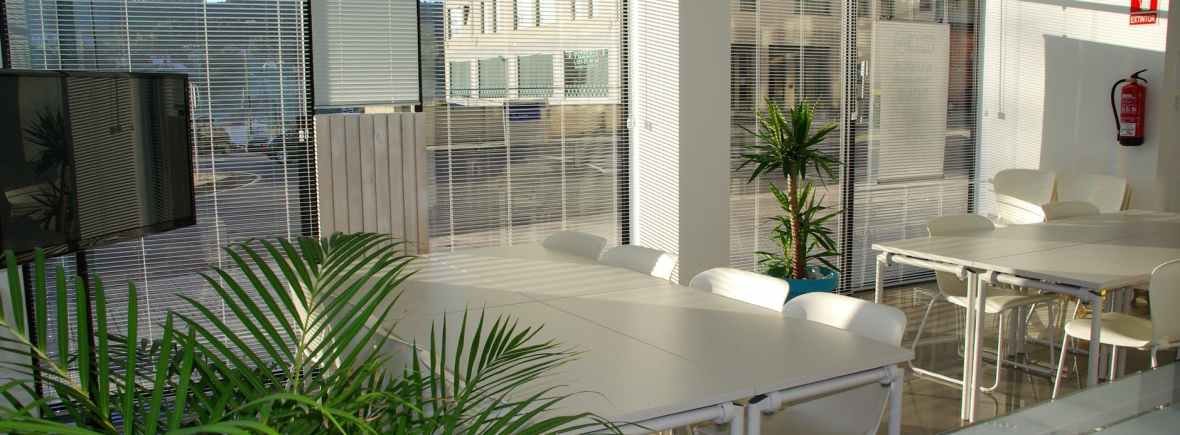 bright training room with sunlight streaming through blinds, desks, chairs and plant and view of offices beyond window outside